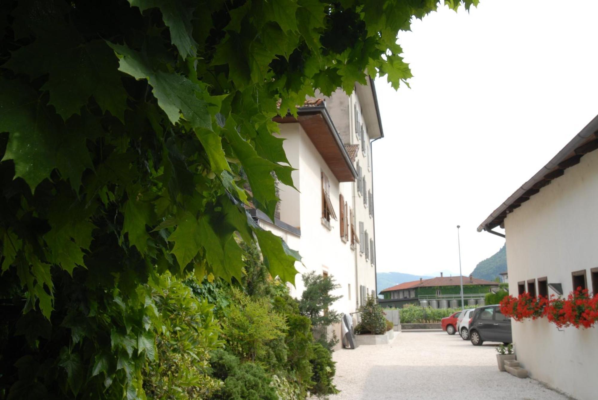 Albergo Al Sole Mezzolombardo Bagian luar foto